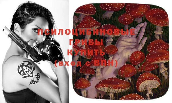спиды Михайлов