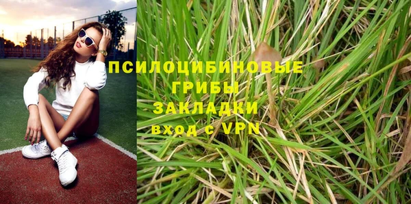 спиды Михайлов