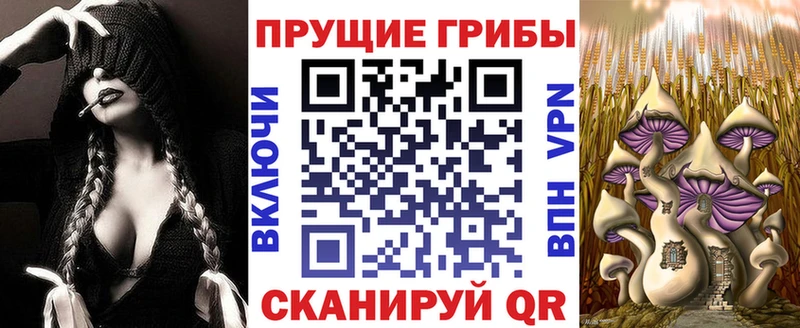 Галлюциногенные грибы мицелий  блэк спрут маркетплейс  Горячеводский 